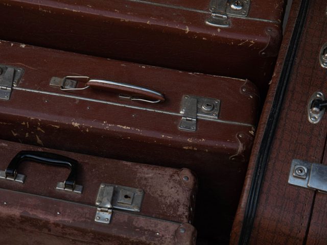 La meilleure période pour visiter l&rsquo;Afrique du Sud